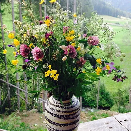 Waldfrieden Tatil Evi Kartitsch