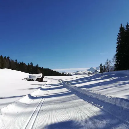 Waldfrieden Tatil Evi Kartitsch