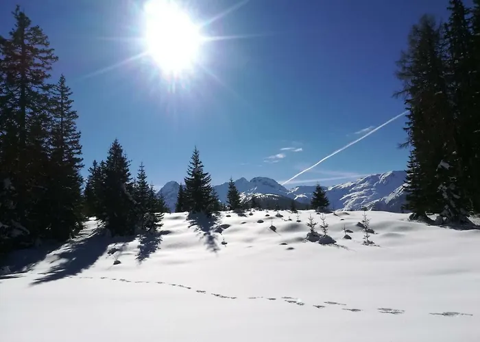 Waldfrieden Kartitsch